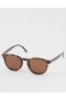 Aerie Sunski Yuba Tortoise Amber Sunglasses Brown