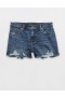 Aerie Daydream Denim Shorts Blue
