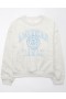 Aerie Funday Graphic Sweatshirts Grey