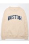 Aerie Oversized Boston Graphic Sweatshirts Brown
