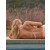  Top de bikini Aerie Terry String Triunghi Roz