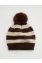  Aerie OFFLINE Door Ski Hat Wit Bruin