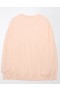  Aerie Oversized Maine Graphic Sweatshirts Pink
