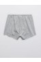  Aerie OFFLINE By OTT Fleeceshorts Grau